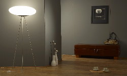 ��������� ����� ����������� ������ ������� �������� ����