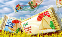 POLISH FIRMS