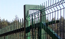 POLISH FIRMS
